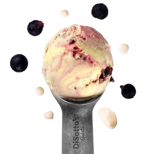 Blackcurrants in Cornish Clotted Cream Gelato Main Image