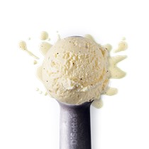 Madagascan Vanilla Gelato Main Image