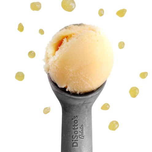 Passion Fruit Sorbet Main Image